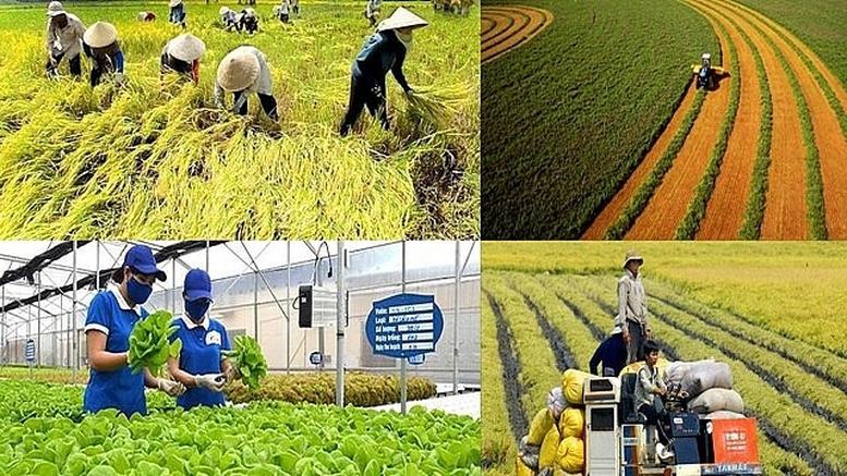 Chính sách mới có hiệu lực từ tháng 1/2026- Ảnh 1.